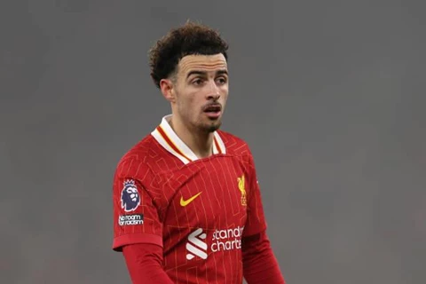 ليفربول ضد إبسويتش.. سلوت يؤكد غياب جونز عن المباراة